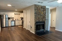 kitchen and fireplace